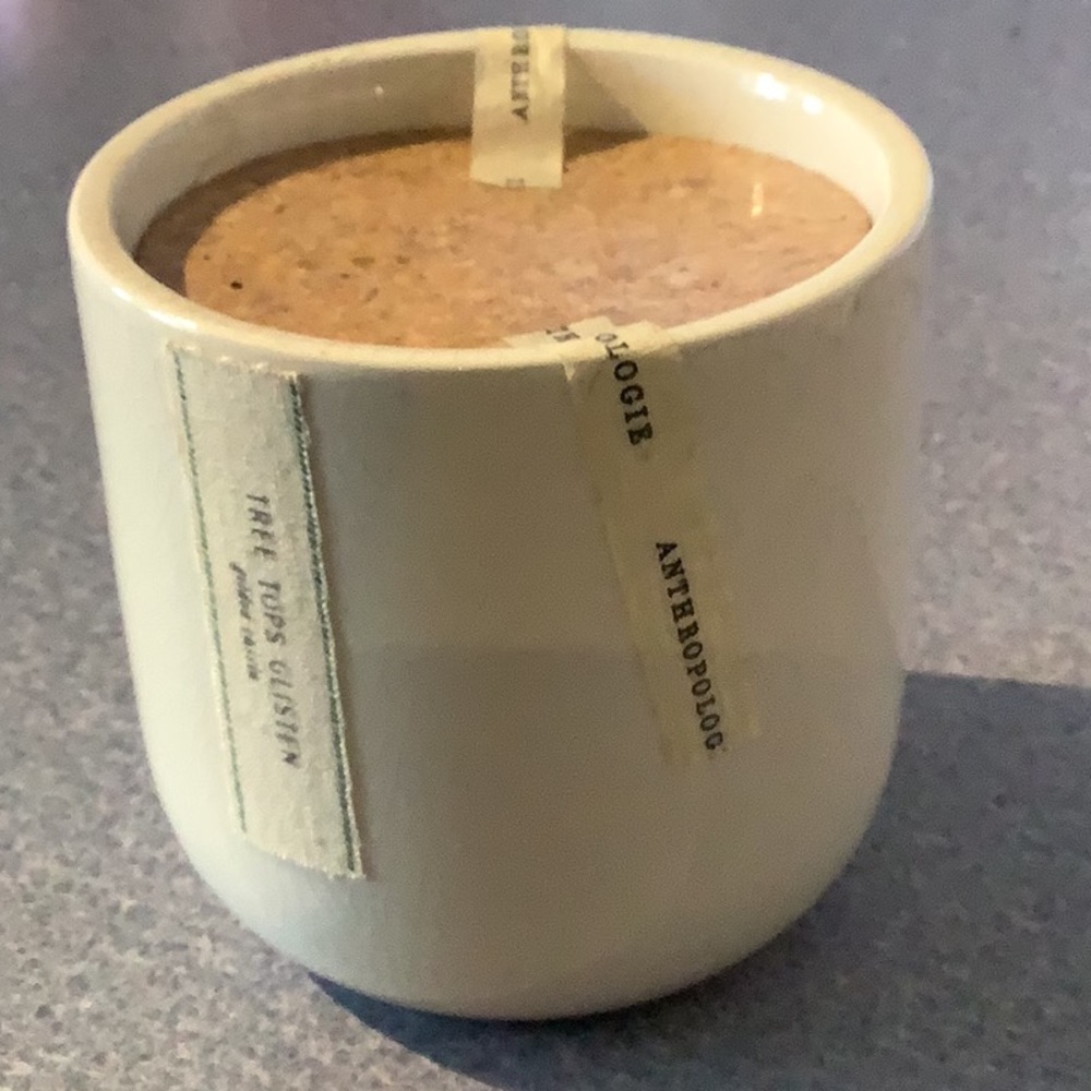 ANTHROPOLOGIE GILDED CASSIA SCENTED CANDLE I WICK “TREE TOPS GLISTEN” scent